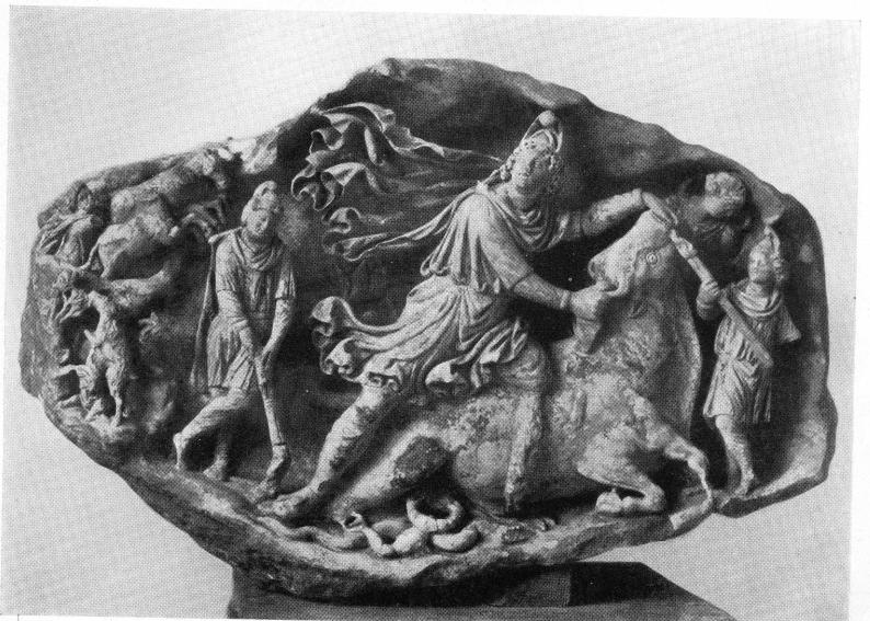 euporus4